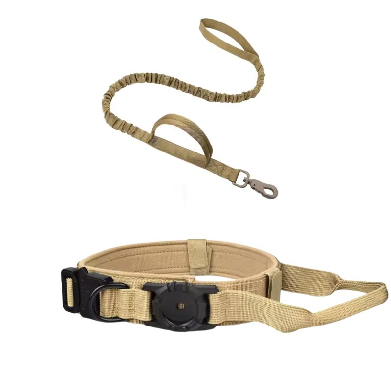 Best collar for tracking dogs