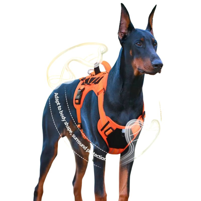 Dog Harness Vest Set