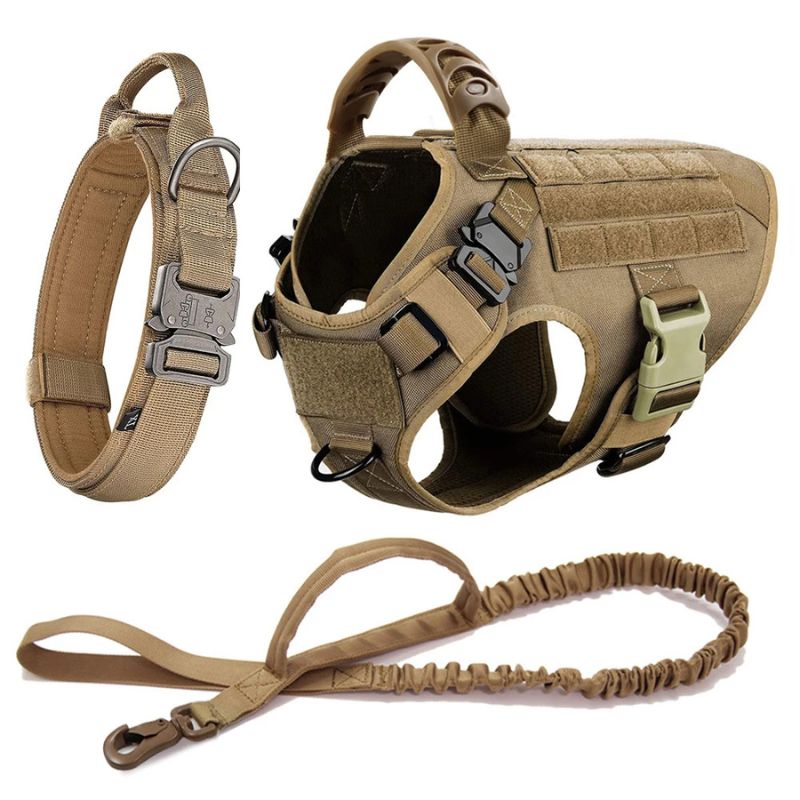 Harness Collar