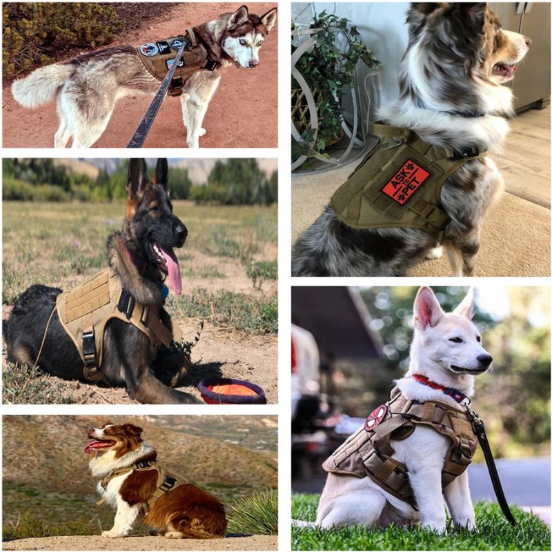 Outdoor dog harness