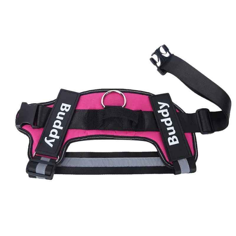 Outdoor dog harness
