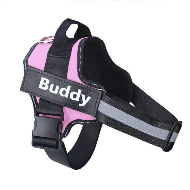Training dog harness