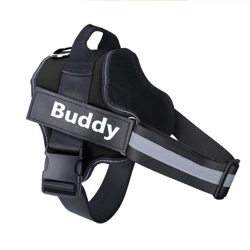 Dog harness for small dogs
