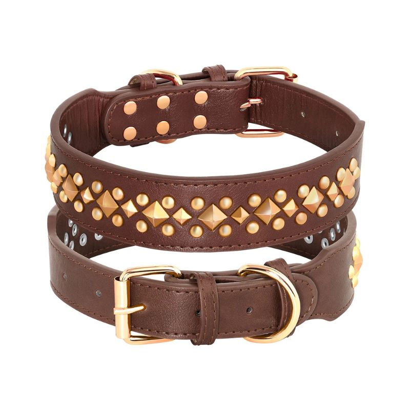 Pitbull leather collar