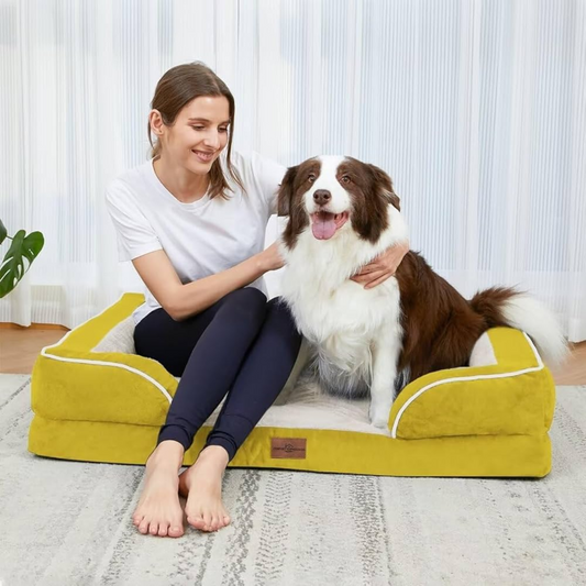 Essential Tips for Choosing the Perfect Pet Bed