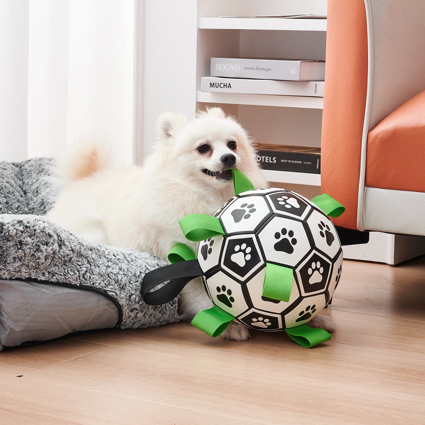 Interactive Dog Soccer Ball for Training & Outdoor Play