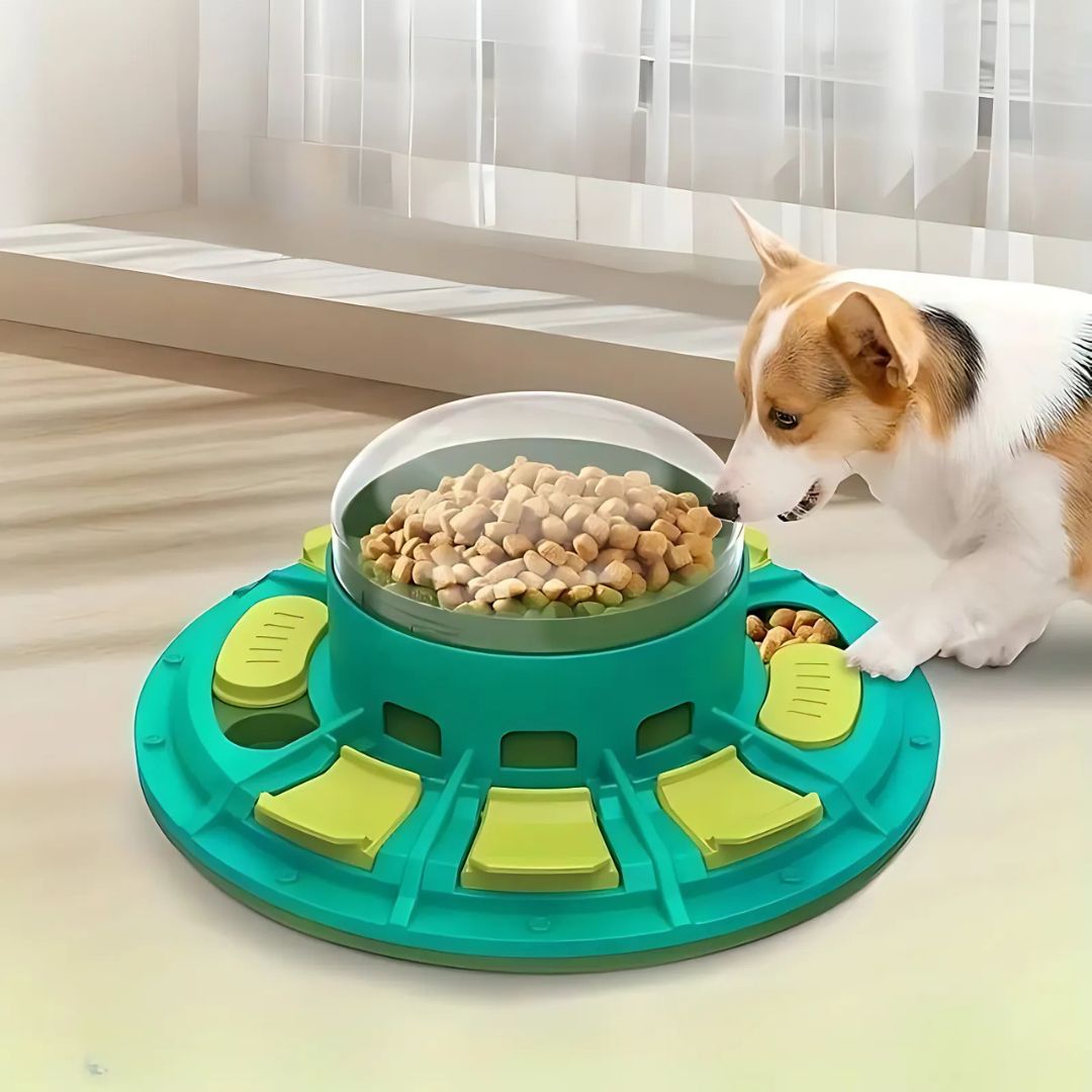 Puzzle toys for smart dogs