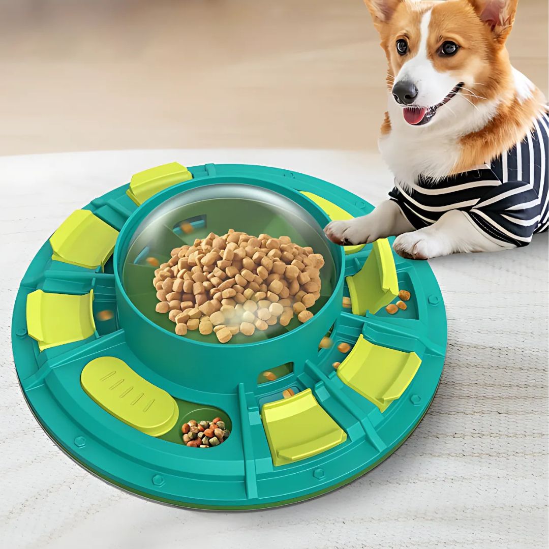 Dog food puzzle bowl