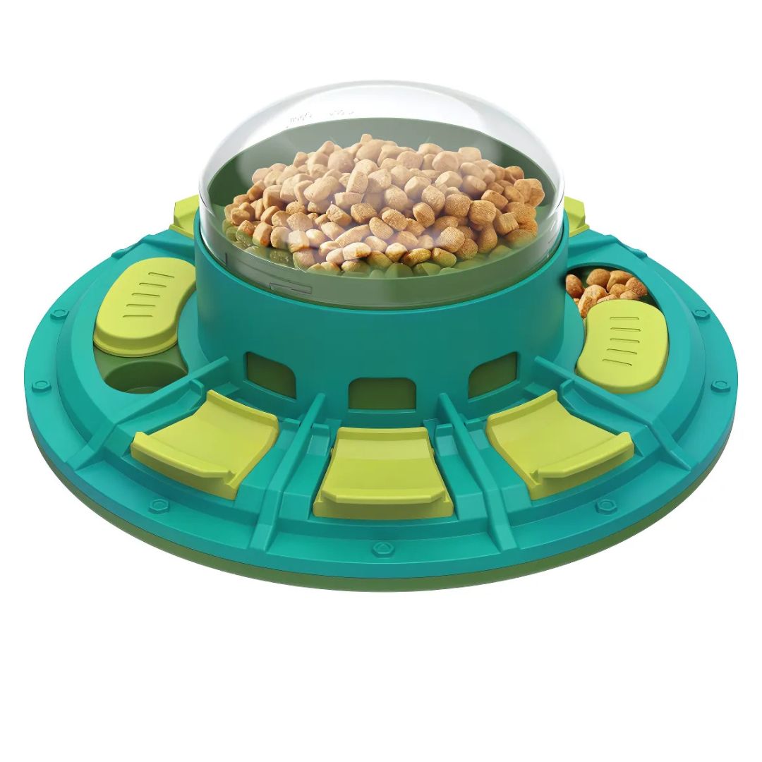 Slow feeding bowl for dogs