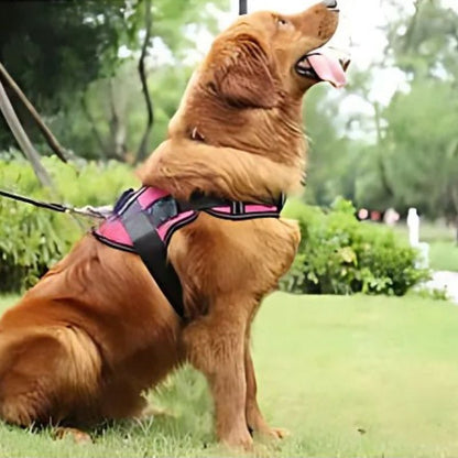 Breathable dog vest

