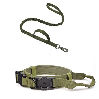 Heavy-duty nylon dog collar

