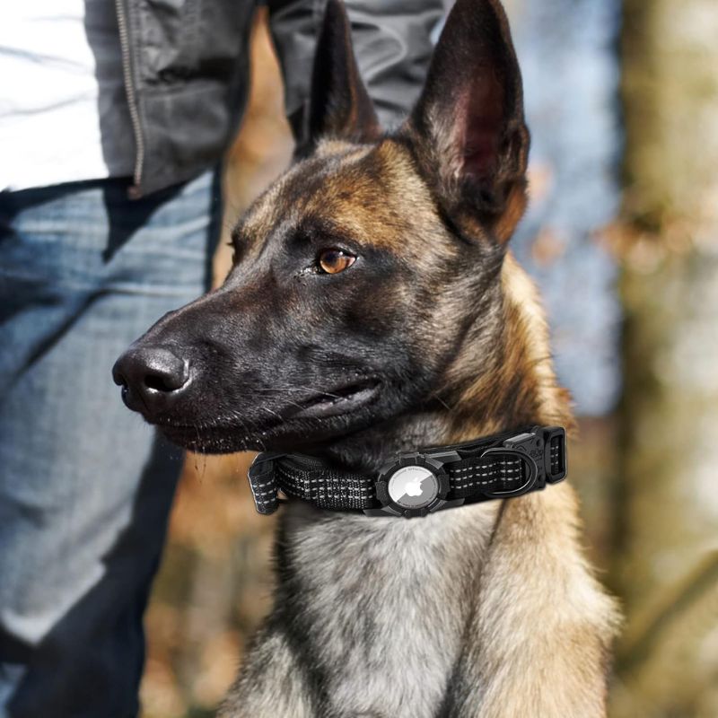 Military-grade dog collar
