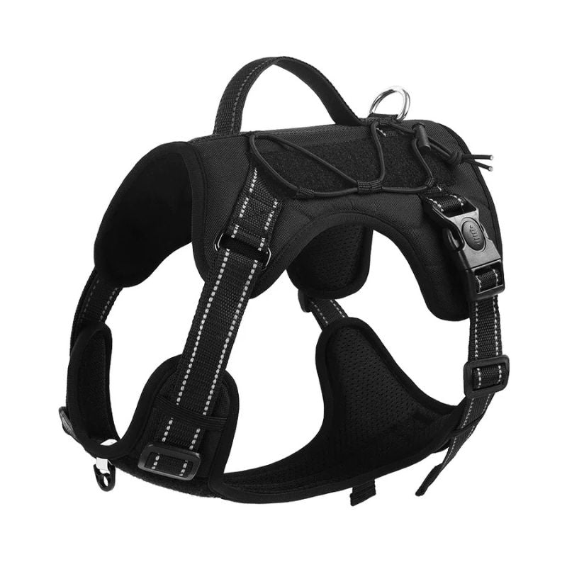 Dog vest with leash
