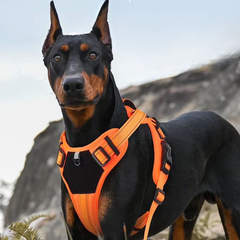 Adjustable dog vest
