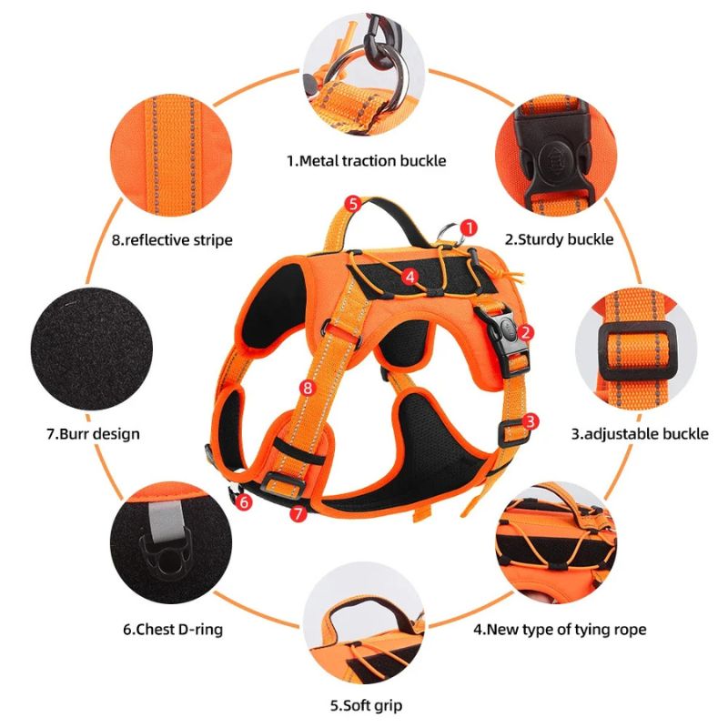 Outdoor dog harness
