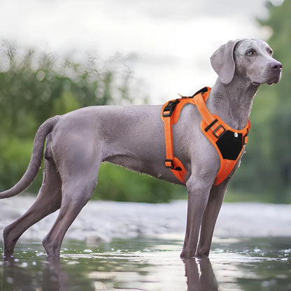 Large dog harness
