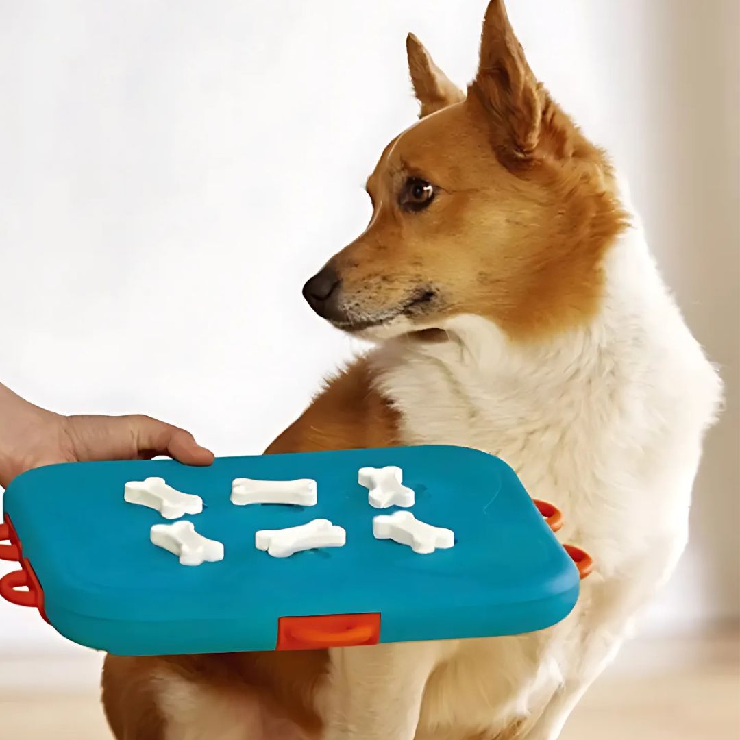 Dog Food Leaker Educational Toy