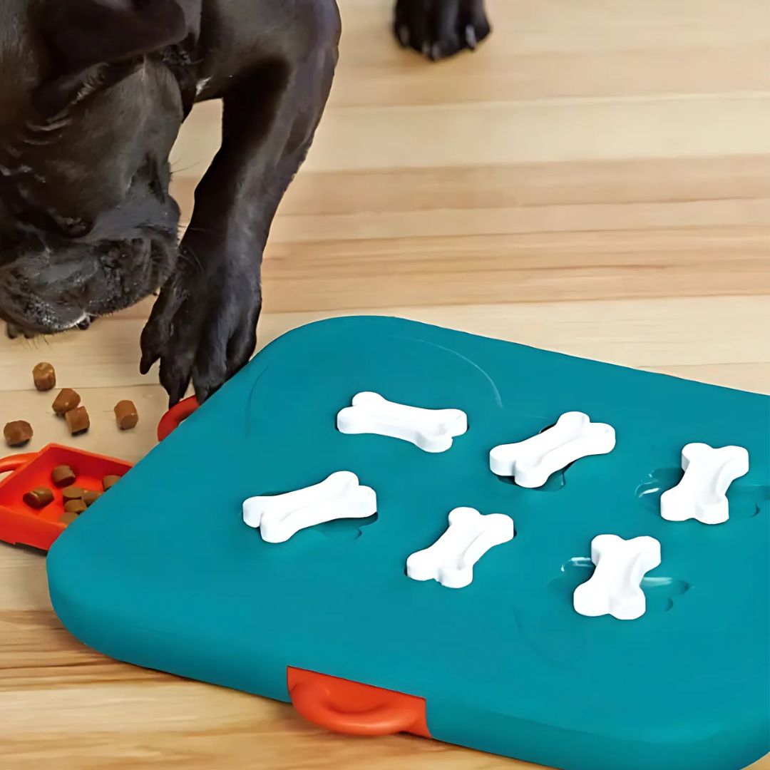 Dog Food Leaker Educational Toy