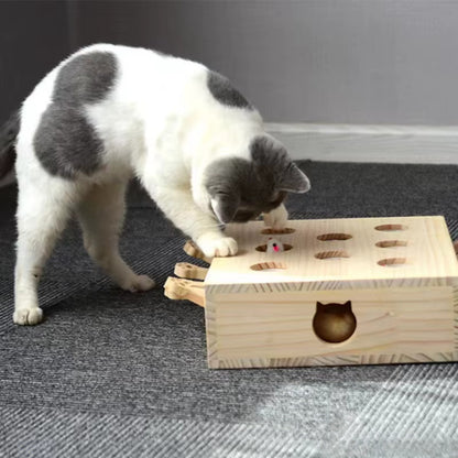 Interactive Cat Puzzle Maze -Sturdy Wooden Cat Toy