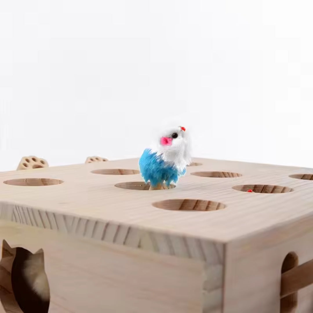 Interactive Cat Puzzle Maze -Sturdy Wooden Cat Toy