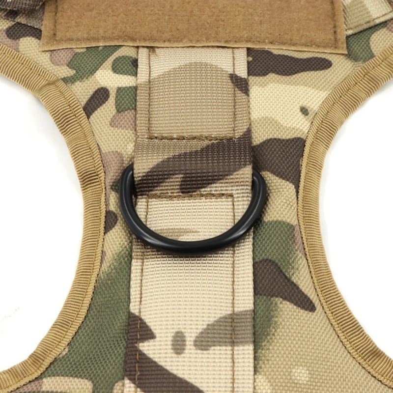 Training dog harness

