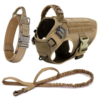 Harness Collar