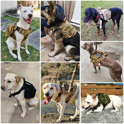Training dog harness

