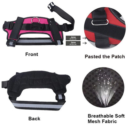 Outdoor dog harness


