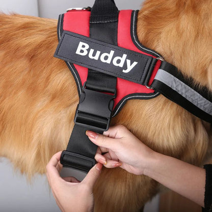 Outdoor dog harness

