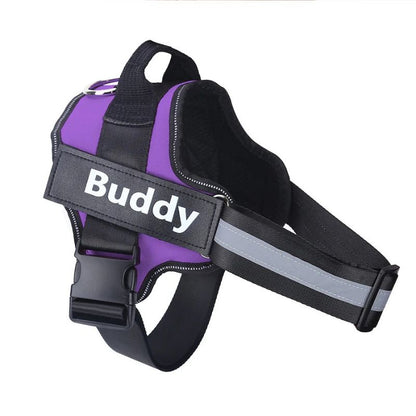 Outdoor dog harness

