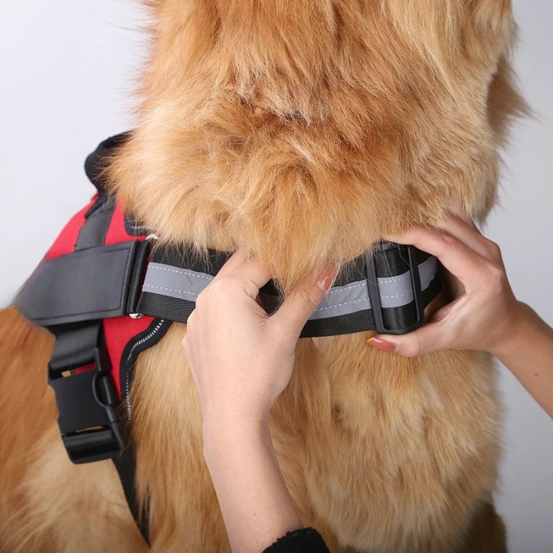 Dog harness for small dogs

