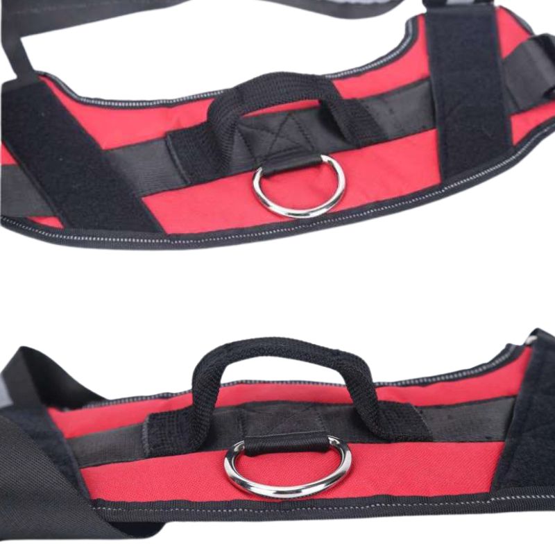 Outdoor dog harness

