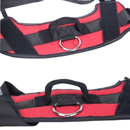 Outdoor dog harness

