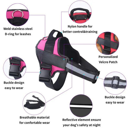 Reflective dog harness

