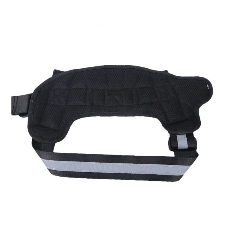Training dog harness


