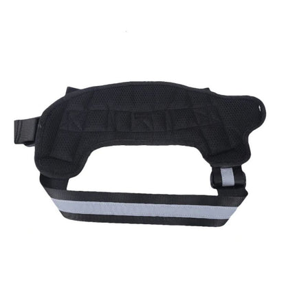 Training dog harness


