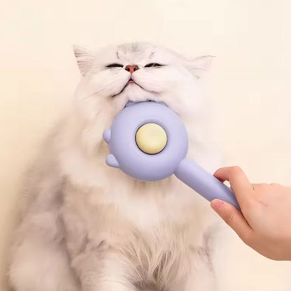 self-cleaning pet brush
