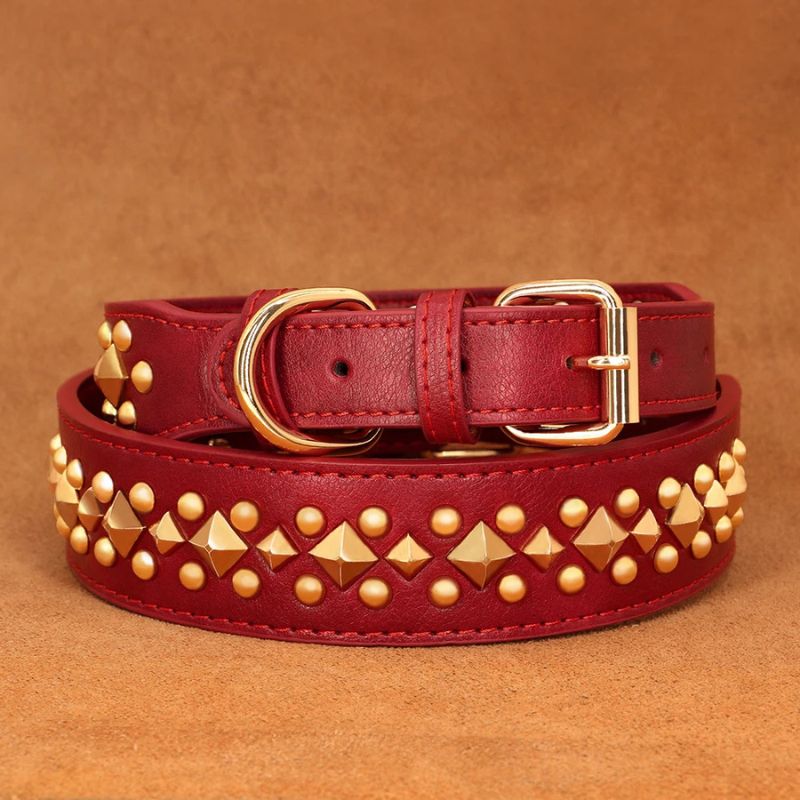 Strong dog collar with buckle
