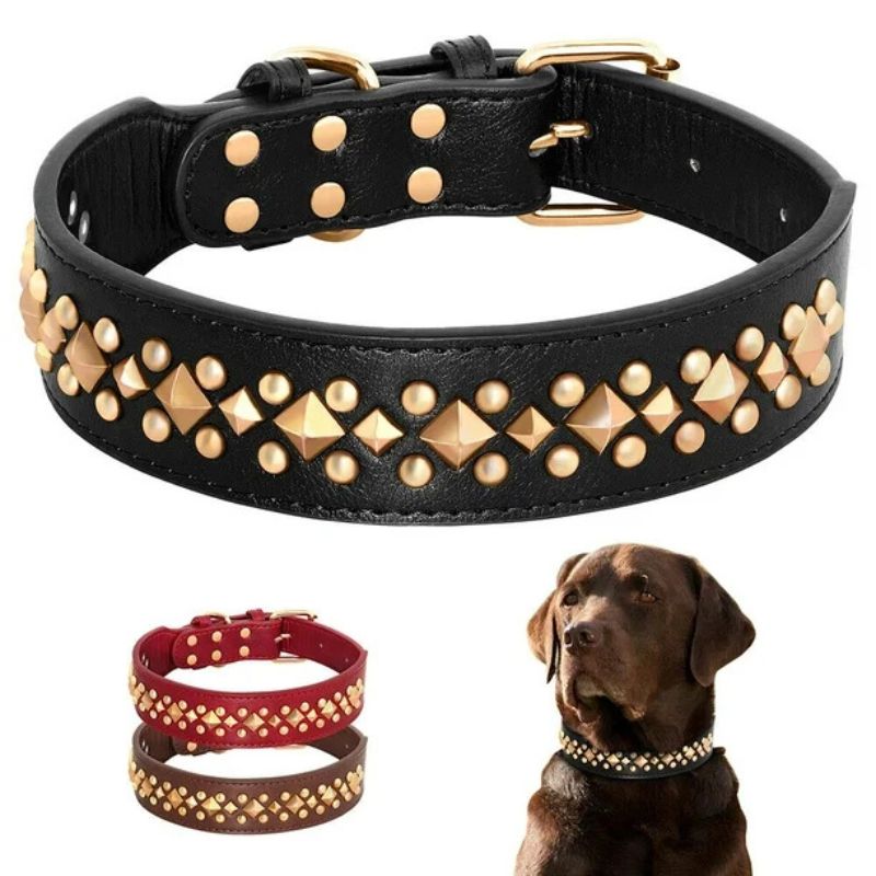 Durable dog collar for large breeds
