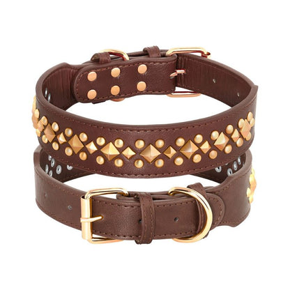 Pitbull leather collar
