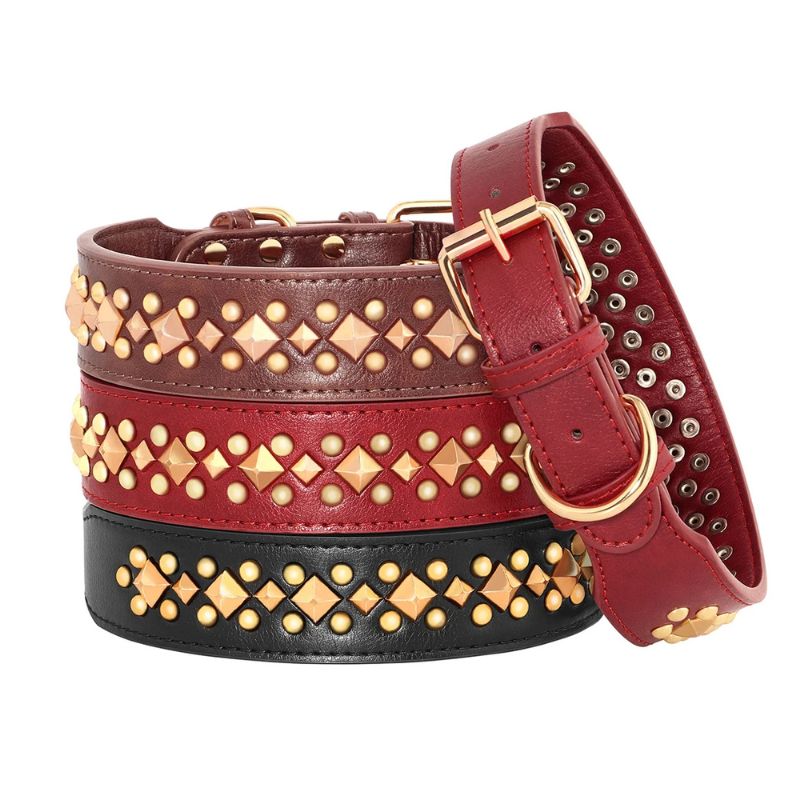 High-quality dog collar
