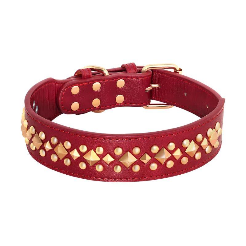 High-quality dog collar
