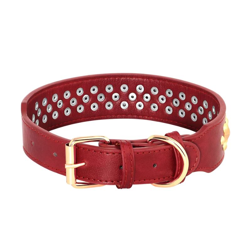 German Shepherd collar
