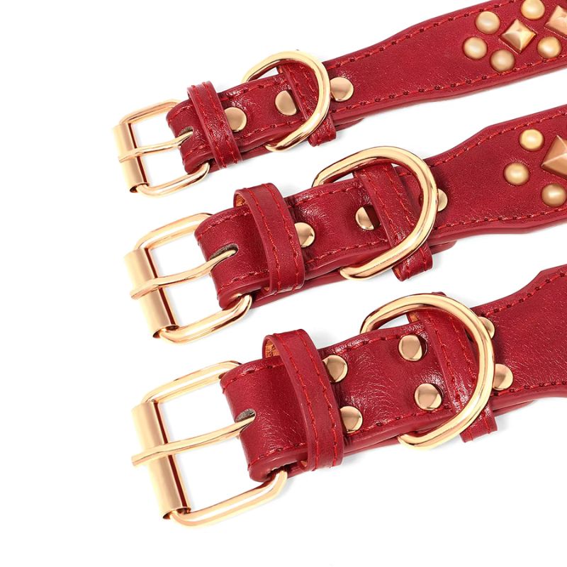 Pitbull leather collar
