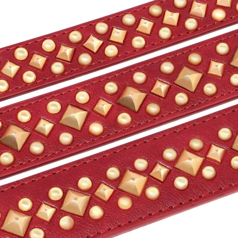 Durable dog collar for large breeds
