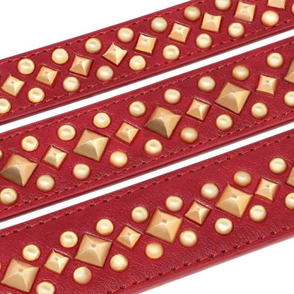 Durable dog collar for large breeds
