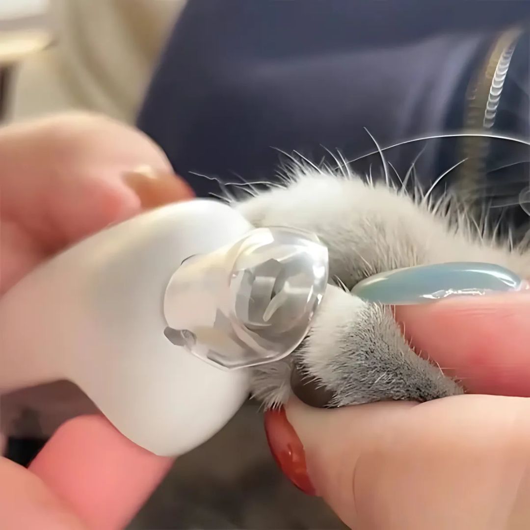 Professional Pet Nail Trimmer with Circular Hole