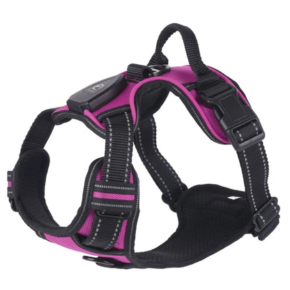 Adjustable LED harness for dogs

