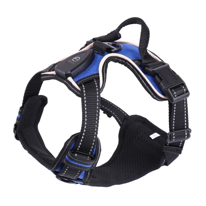 Rechargeable dog vest

