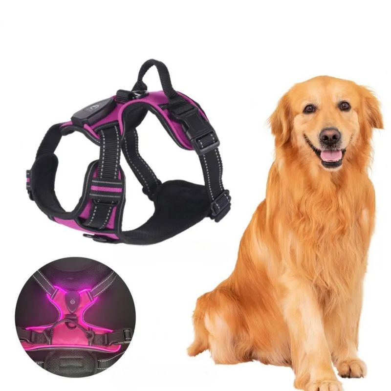 Dog harness for night walks

